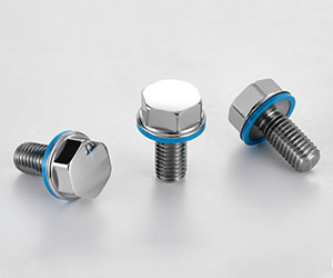 HYGIENIC HEXAGON SCREWS